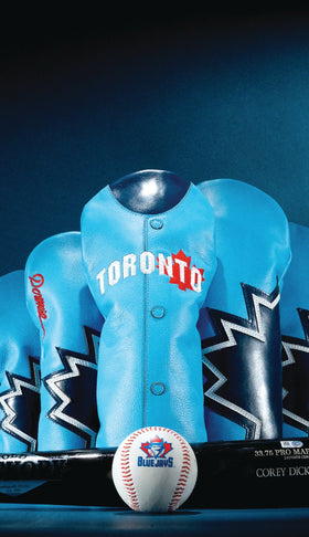 The Home Team Collection